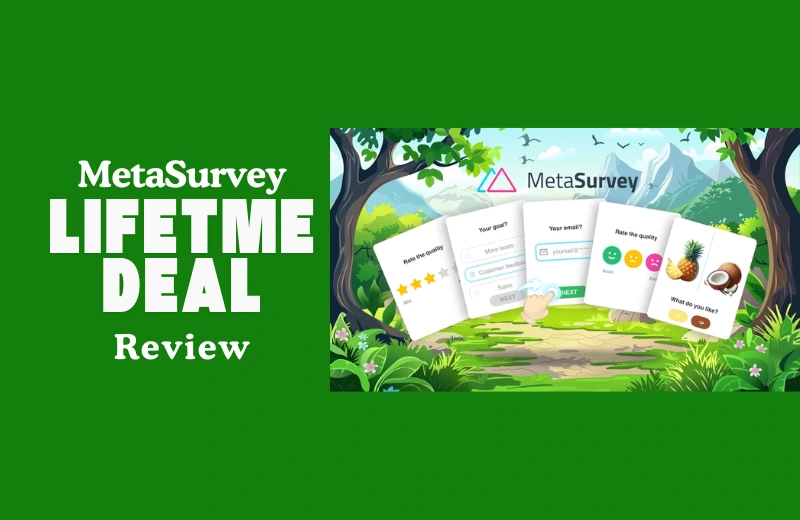 MetaSurvey Lifetime Deal Review